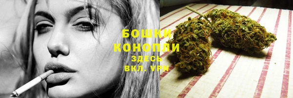 сатива Балахна