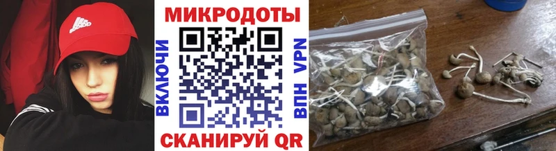 Галлюциногенные грибы Psilocybe  kraken как войти  Туринск 